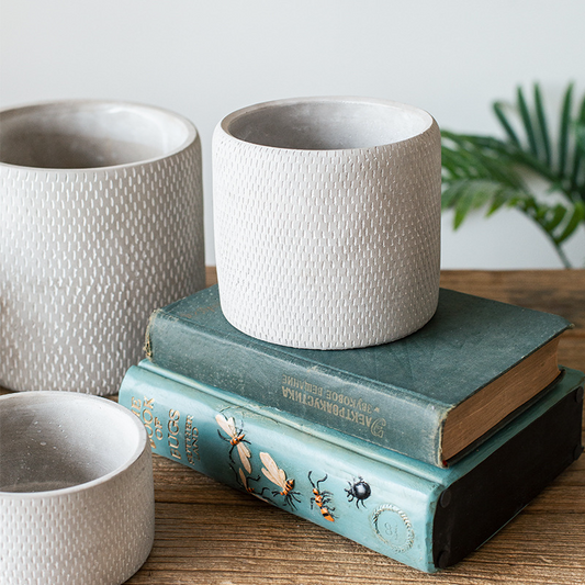 Stylish Nordic-inspired cement plant pot, perfect for minimalist decor. Sleek design, durable construction, and ideal for showcasing your favorite greenery.